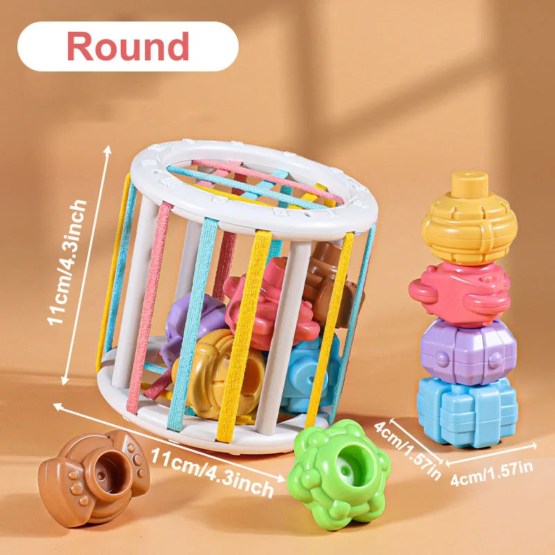 Montessori Baby Toys Stack Pull Blocks Games 0-12 Months Color Shade Sensory Development Learning Educational Toys Babies Infant.