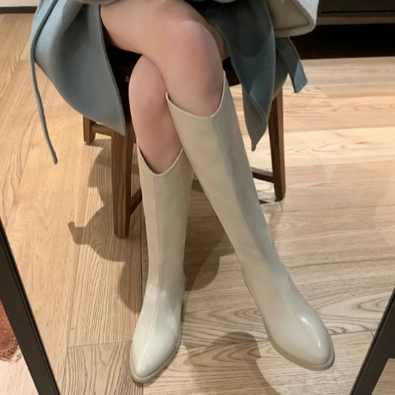 Winter New Pointy Mid-heel Knee-high Boots Back Zipper Solid Color Heightening Car Stitch and Velvet Fashion Elegant High Boots.