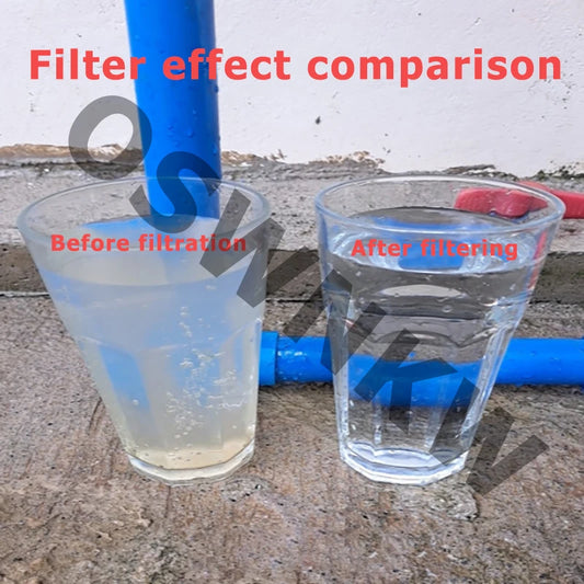 Whole house water purifier 0.01um PVDF pre-filter 1000L SUS304 water filter can be continuously cleaned for 5 years.