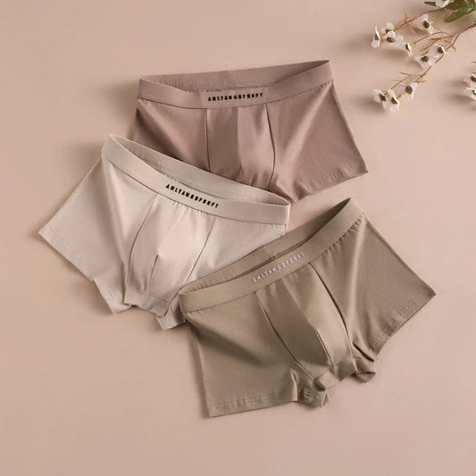 3PCS Sport Boxer Mann Atmungsaktive Geschenk Sportliche Boxer männer Platz Höschen Sexy Männer Unterwäsche Unterhose Briefs Shorts unterwäsche