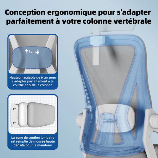 AUTHMIC Ergonomischer Bürostuhl (Grau) mit verstellbarer Kopfstütze, Lordosenstütze, klappbaren Armlehnen und verstellbarer Rückenlehne, 150 kg