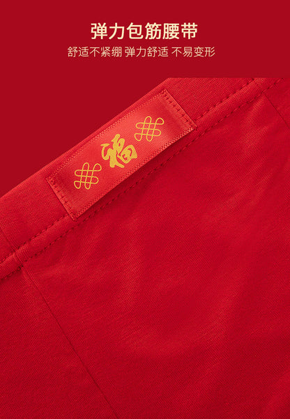 7 Stück große Unterwäsche Herren Boxershorts Unterwäsche Junge Schlüpfer Homme Unterhose rote Höschen Shorts L XL XXL 3XL 4XL 5XL 6XL