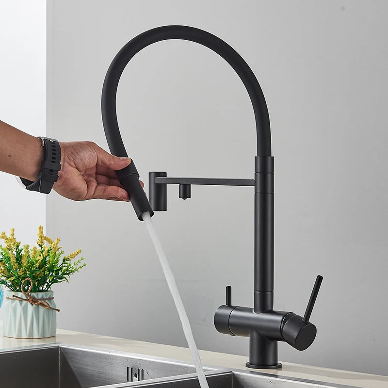 Black Grey Filtered Kitchen Faucet Water Filter Kitchen Faucets Filter Faucet Mixer Water Purification Water Drinking Water Taps