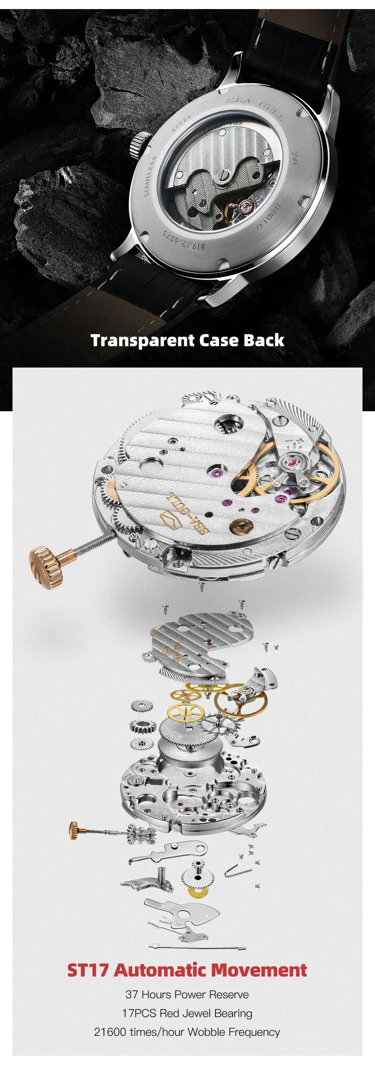 Seagull New Business Watch Men's Mechanical Wristwatches 50m Waterproof Leather Valentine Male Watches relogio masculino 6075.