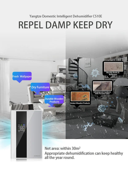 Dehumidifier and Air Purifier 2 in 1 Moisture Absorber Household Mute Bedroom Basement Remote Control Timing External Water Pipe.