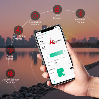 HALO KNIGHT T108Pro 6000W Adult Electric Scooter Dual Motor 95KM/H Fast E-scooter Foldable E Scooter 60V 38.4Ah Top Motorcycle.