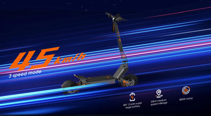 Folding Electric Scooter 48V 15AH(18650lithium battery), 800W Motor, 45KM/H 55KM,10'' Tubeless Wheels.