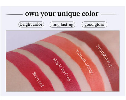 4 pcs/set Cigarette Lipstick Set Long Lasting Lip Glaze Matte Lip Gloss Waterproof Lip Stick Tube Nude Lip Tint Makeup Cosmetics