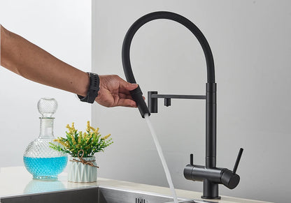 Black Grey Filtered Kitchen Faucet Water Filter Kitchen Faucets Filter Faucet Mixer Water Purification Water Drinking Water Taps