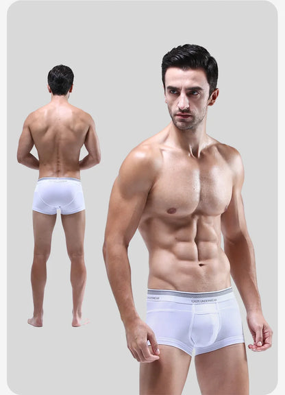 52025 Micromodal-Boxershorts/Badehose für Herren – höchster Komfort, ultimative Weichheit und luxuriöses Gefühl. Stilvolle und extrem bequeme Passform