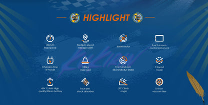 Folding Electric Scooter 48V 15AH(18650lithium battery), 800W Motor, 45KM/H 55KM,10'' Tubeless Wheels.