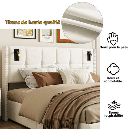 ROSAHQNDA Modernes Polsterbett, hydraulisches Doppelbett mit Leseleuchten, 140/160x200cm, Samtbett mit Stauraum, ohne Matratze