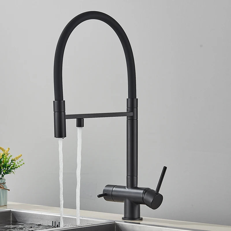Black Grey Filtered Kitchen Faucet Water Filter Kitchen Faucets Filter Faucet Mixer Water Purification Water Drinking Water Taps