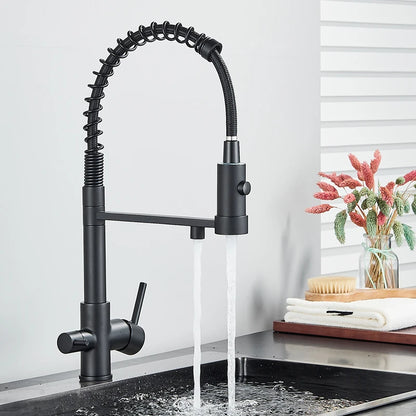 Black Filtered Kitchen Water Filter Kitchen Faucets Dual Spout Filter Faucet Mixer Water Purification Water Crane For Kitchen
