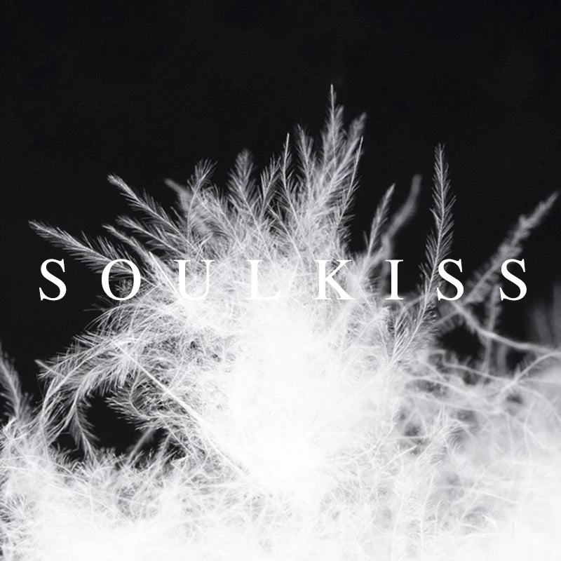 Hirsionsan Herbst Winter Koreanische Weiße Ente Unten Weste Frauen 2023 Neue Einfach Alle-spiel Mäntel FemaleSoft Warme Sleeveness Jacken.