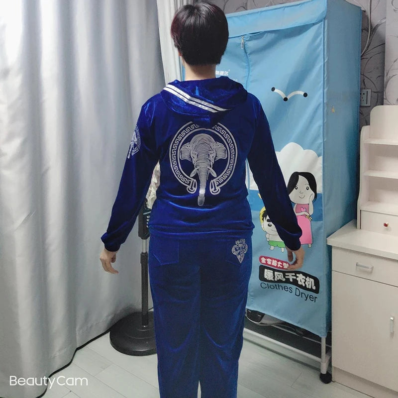 Korean Print Velvet 2 Piece Set Casual Hooded Women Outfit Harem Pant Suits Tracksuit Velour Jogging Femme Spring Fall Conjuntos.