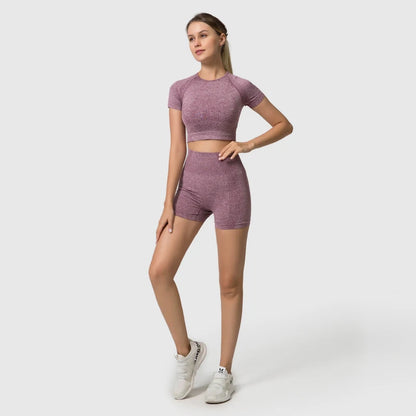 Seamless Women Yoga Set Crop Top Short Sleeve Shirt Fitness Shorts Workout Clothes For Women Gym Clothing Yoga Sport Set