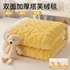 Lamb Fleece Double-Sided Velvet Blanket Double-Layer Thickened Woven Polyester Wearable Blanket