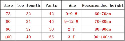 2024 frühling Herbst Neue Baby Kleidung Set Cartoon Baumwolle Baby Jungen Kleidung Mädchen Anzug Set 0-3 Jahre Baby kleidung.