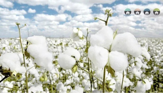 2024 frühling Herbst Neue Baby Kleidung Set Cartoon Baumwolle Baby Jungen Kleidung Mädchen Anzug Set 0-3 Jahre Baby kleidung.