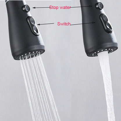 Matte Black Pure Water Filter Kitchen Faucet Dual Handle Hot and Cold Drinking Water Pull Out  Kitchen Mixer Taps