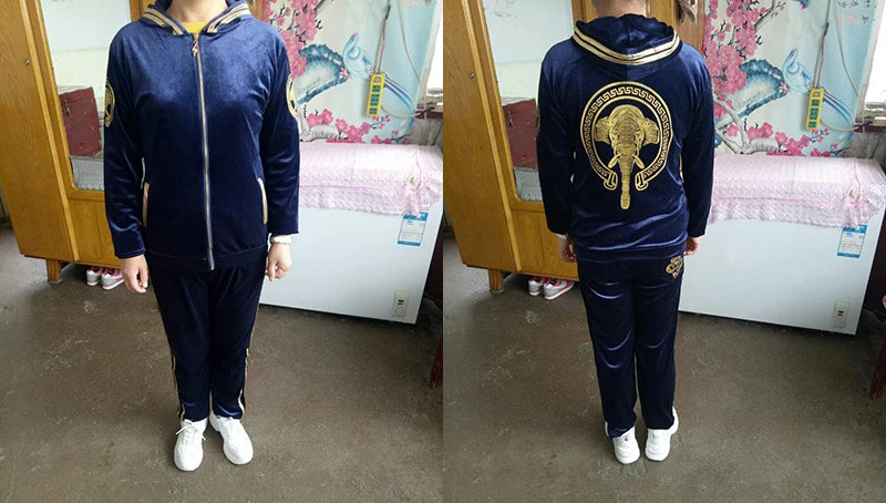 Korean Print Velvet 2 Piece Set Casual Hooded Women Outfit Harem Pant Suits Tracksuit Velour Jogging Femme Spring Fall Conjuntos.