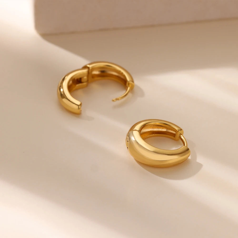 Classic Hoop Earrings for Women Girls Gold Color Chunky Stainless Steel Earrings 2025 Trend New in Minimalist Ear Jewelry aretes.