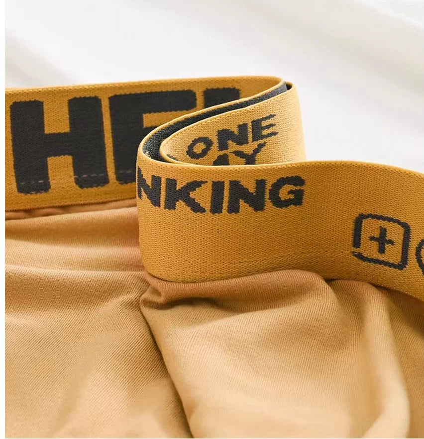 5PCS Boxer Höschen Männer Brief Unterwäsche Badehose Sexy Unterhose Atmungsaktivem Weiche Baumwolle Höschen Boxer Shorts Plus Größe