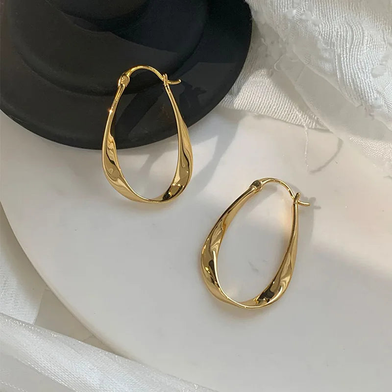 Silver Color Geometric Twisted Hoop Earrings for Women Mobius Strip Compact Earring Femininity Ear Euckle Jewelry Accessorie.