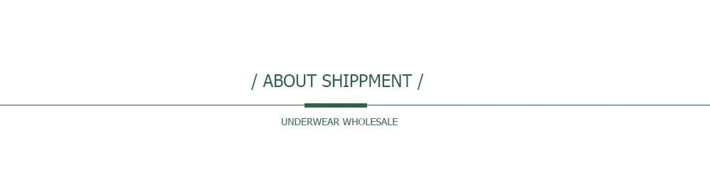 Cotton Briefs Lady 5 PCS/SET Lace Panty Underpants Seamless Panties For Women Lingerie.