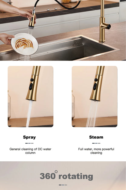 Luxury brushed gold kitchen faucet with pull-out design, 1-hole single handle cold and hot dual control dual function sink Tap
