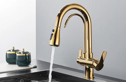 Quyanre Matte Black Filtered Crane For Kitchen Pull Out Spray 360 Rotation Water Filter Tap Three Ways Sink Mixer Kitchen Faucet