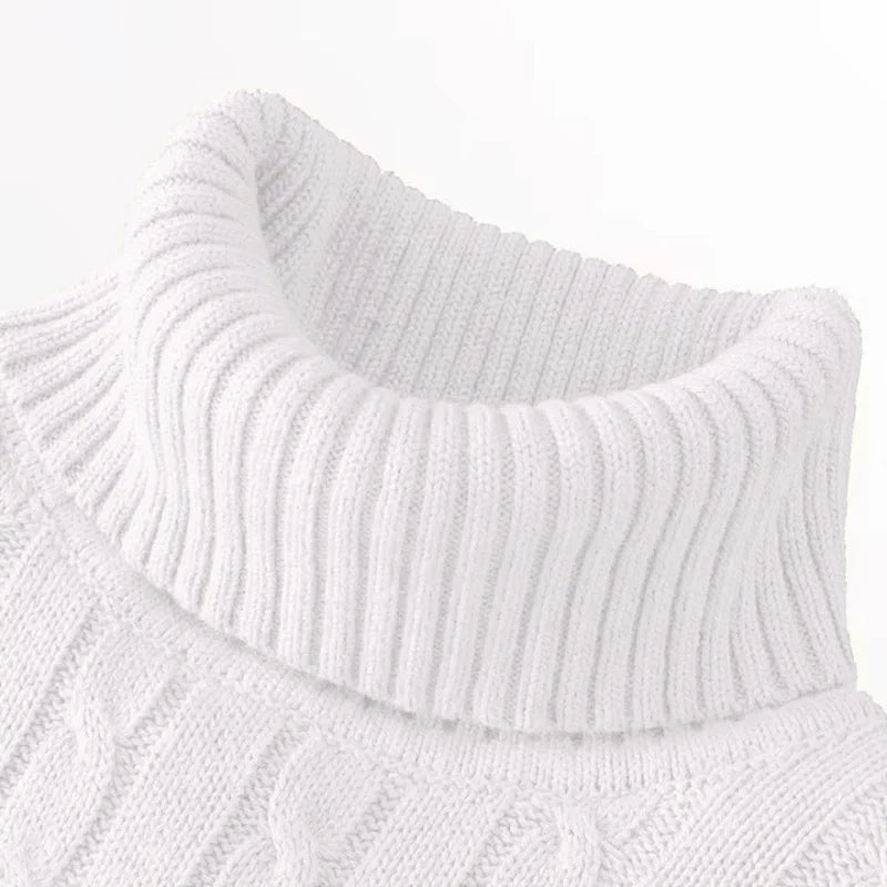Autumn Winter Men's Sweater Warmth Turtleneck Jacquard Slim Fit Sweaters Solid Color Basic Style Fahion Knitted Pullovers.