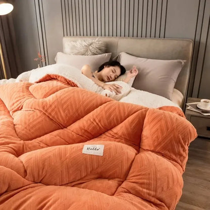 Super Warm Lamb Wool Quilt Winter Thickened Cotton Quilt Warm Cotton Double Sided Velvet Soft Extra Large Blanket 이불.