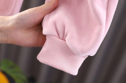 Baby Girls Warm Set Autumn Winter Lining Plush Thick Outfits Kids Cartoon Rabbit Ear Hoodie+Pants 2Pcs Children Casual Clothing.