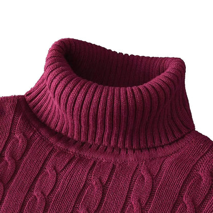 Autumn Winter Men's Sweater Warmth Turtleneck Jacquard Slim Fit Sweaters Solid Color Basic Style Fahion Knitted Pullovers.