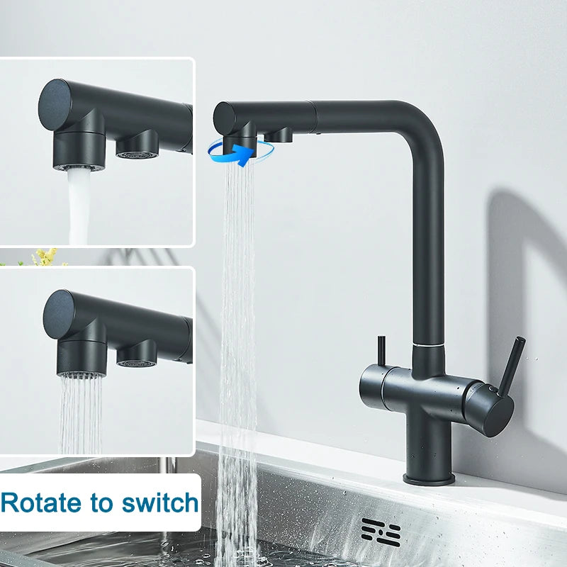 Rozin Water Purifier Kitchen Faucet Black Pull Out Flexible Filter Kitchen Faucets Crane Brass 2 in 1 Hot Cold Water Mixer Tap