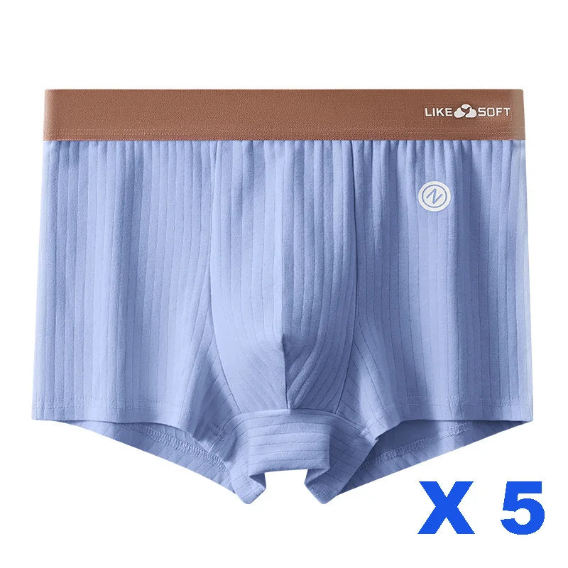 5-teilige gestreifte lustige Boxershorts für Herren, Unterwäsche, sexy Unterhose, Mann, männlich, Homme, U-konvexe Shorts, Dessous, Boxershorts, Höschen