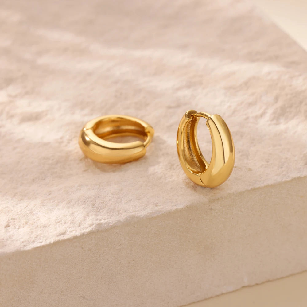 Classic Hoop Earrings for Women Girls Gold Color Chunky Stainless Steel Earrings 2025 Trend New in Minimalist Ear Jewelry aretes.