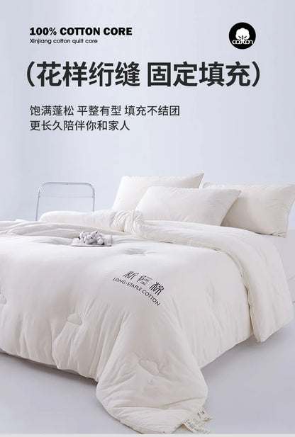 2025 new class A Xinjiang cotton thickened winter quilt spring and autumn quilt pure cotton quilt student dormitory warm.