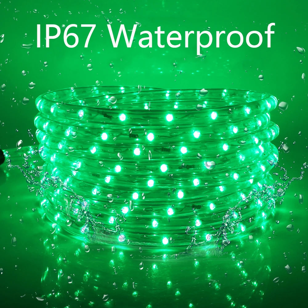 110V 220V Rainbow LED Round 2 Wire Srtip Light 30 36LED Yellow Red Blue Warm Outdoor Waterproof Christmas Party Decor EU US Plug.