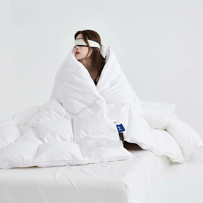 Sondeson Winter 100% Goose Down Quilt Filler 3D Bread Fluffy Duvet Insert Ultra-Soft Queen King Comforter All Season Blankets.