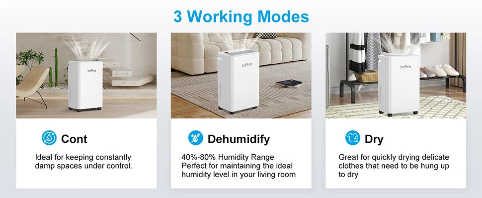 LOEFME 2L Dehumidifier Moisture Absorbers Home Air Dryer Electric Dehumidifier 12L/Day Dehumidification Timer 3 Modes W/ 3M Hose.