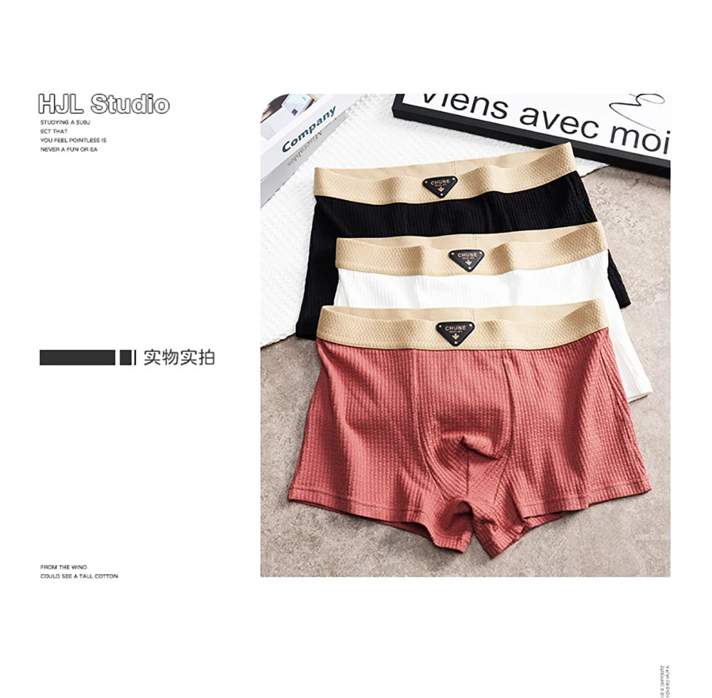 3 Teile/paket 100% Baumwolle Solide Stricken Gestreiften männer Höschen Super Weiche Hygroskopischen Atmungsaktive Boxer Hohe Elastische Taille Mann Unterwäsche