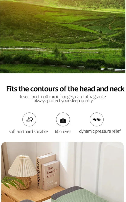 Sobakawa Traditional Buckwheat Standard Size Pillow Organic Cotton with Natural Technology for Cool Sleep Bed Sleep Pillow.