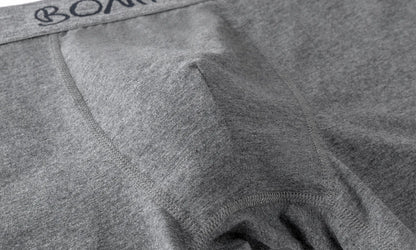 4 stücke Mann Unterwäsche Baumwolle Boxer Shorts Sexy Unterhosen Slip Herren Boxershorts männer Höschen Pack Marke