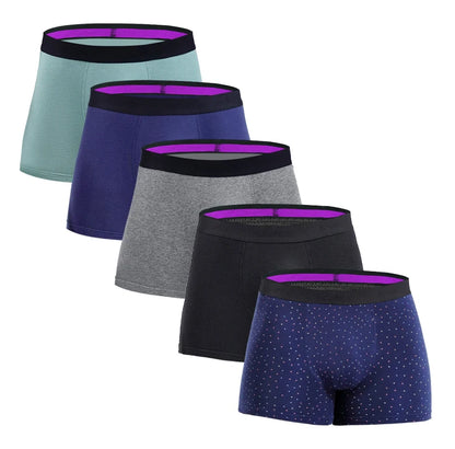 5 stücke Pack Herren Höschen Baumwolle Unterwäsche Männliche Marke Boxer Briefs 2025 Unterhosen Für Homme Luxus Sexy Shorts Geschenk