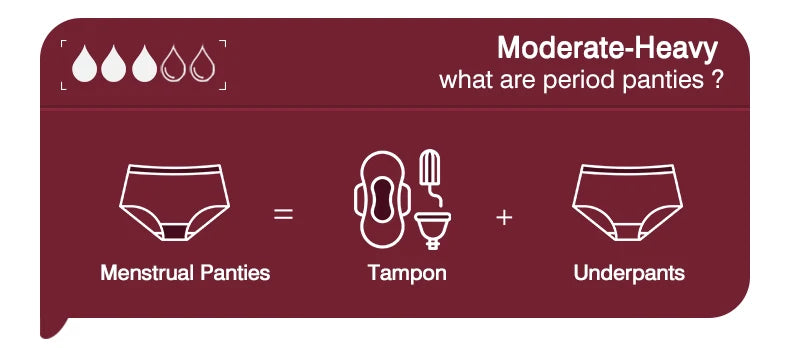 Seamless Period Underwear Menstrual Cycle Absorbent Underwear for Women Heavy Flow Leak Proof Menstrual Panties for Menstruation.