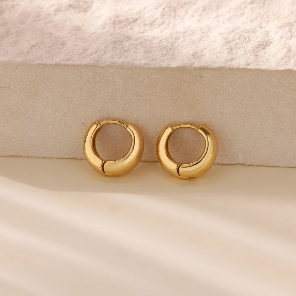 Classic Hoop Earrings for Women Chunky Stainless Steel Gold Color Earring 2025 Trend New in Minimalist Pendientes Jewelry aretes.