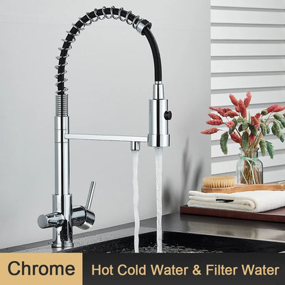 Filter Kitchen Faucet 2 In 1 Pull Down 360° Flexible Drinking Pure Water Purification Faucets Brass Hot Cold Water Mixer Tap